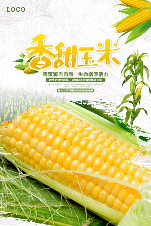 清新玉米海报