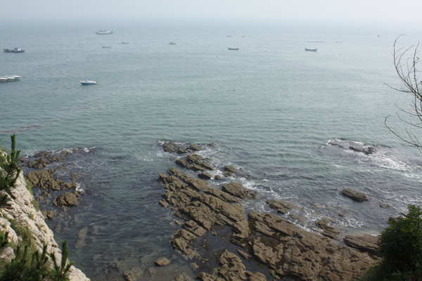 大连海景图片