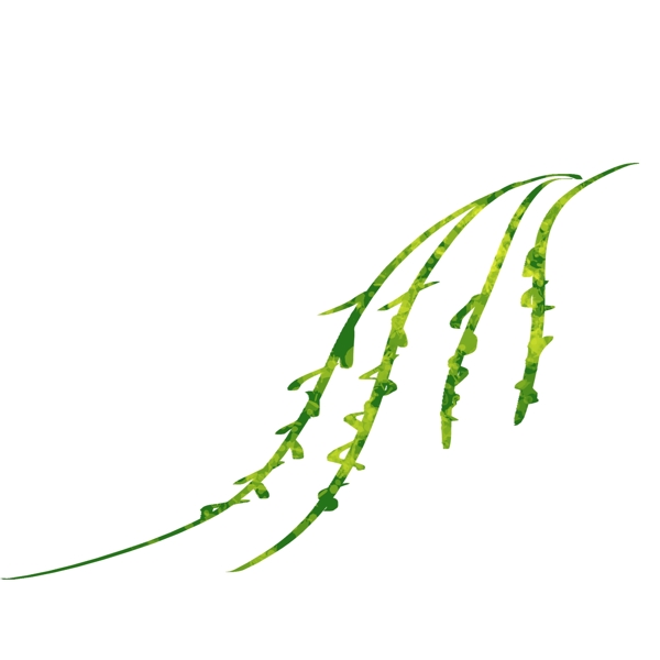 手绘肌理插画植物柳树枝