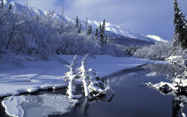 雪景