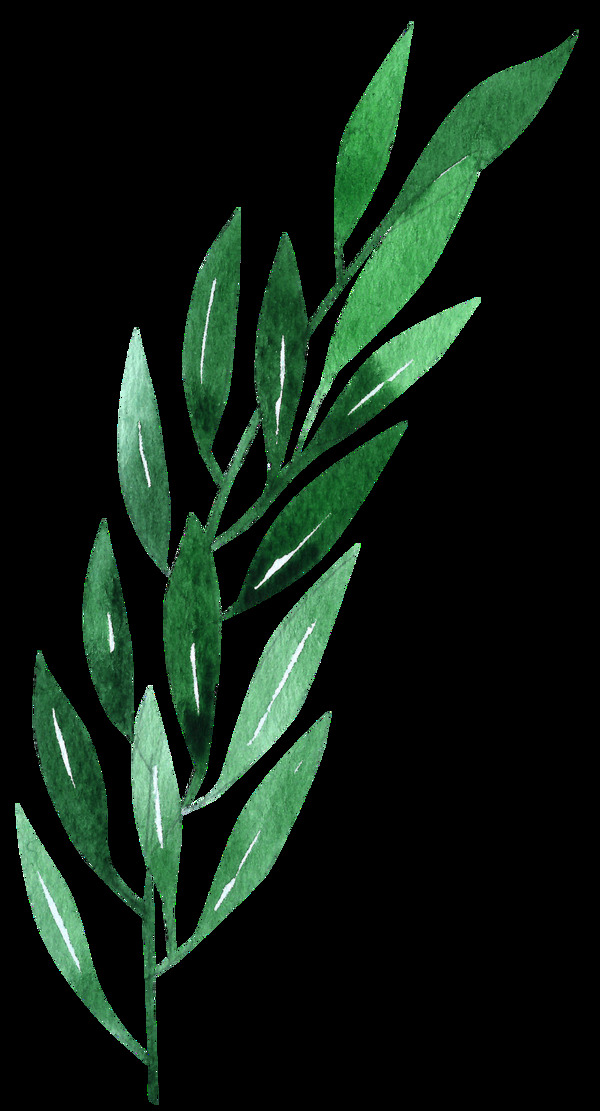 芬达绿树叶卡通透明素材
