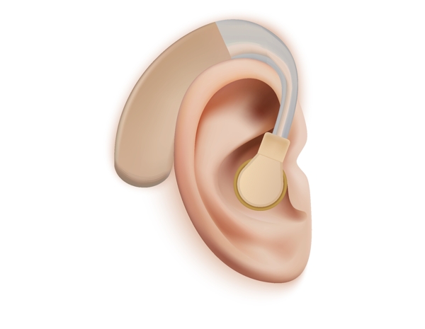 矢量耳朵耳蜗元素