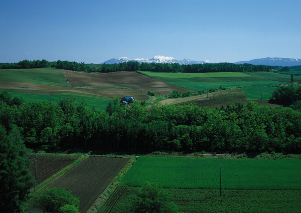 田园风景