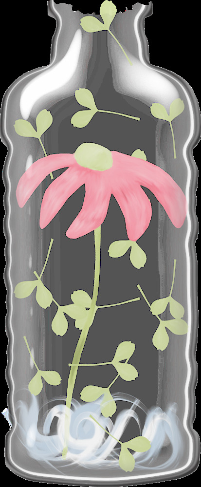 花瓶花朵实物元素