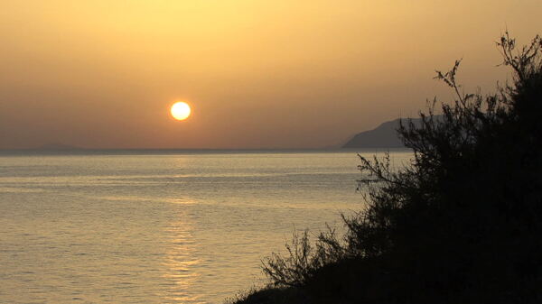西西里岛日落和杂草的股海的录像