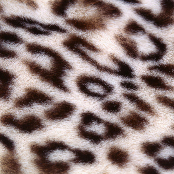 实物面料动物皮纹豹纹免费素材