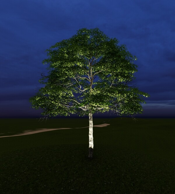 灯光树夜景树素材灯光树素材
