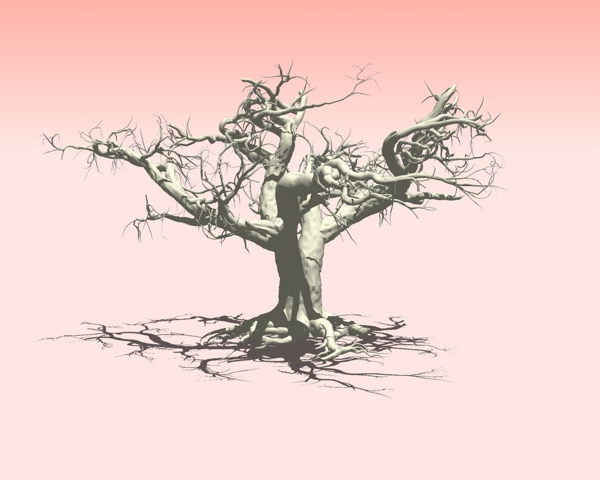 古树精细3D模型图片