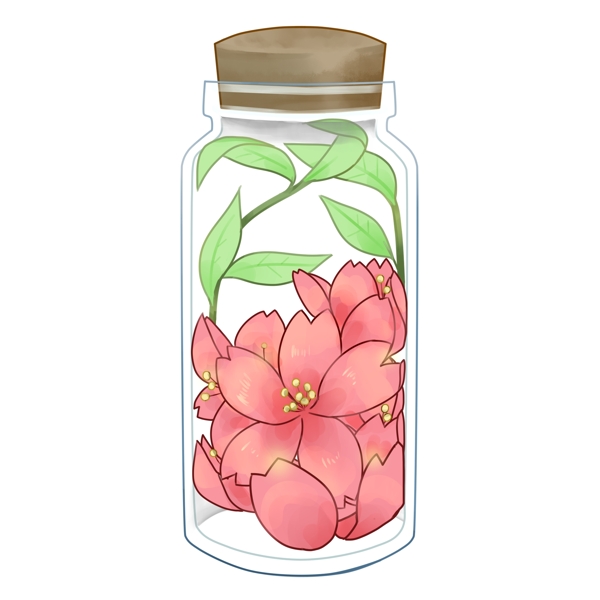 装在瓶子的樱花插画