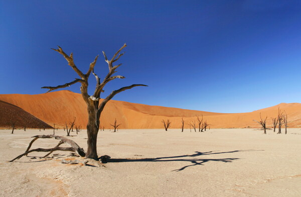 沙漠荒漠图片