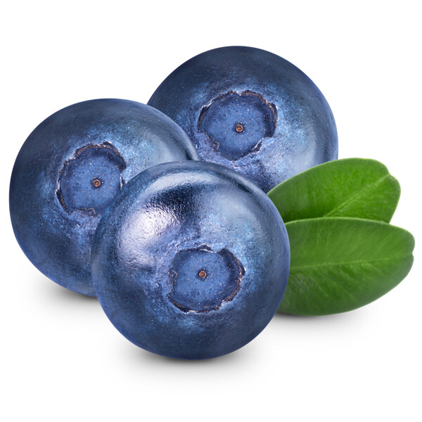 蓝莓果实摄影