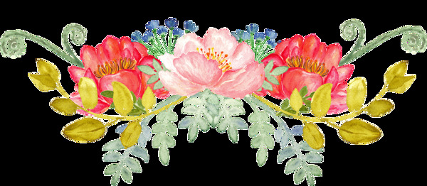 芬芳花卉透明装饰素材