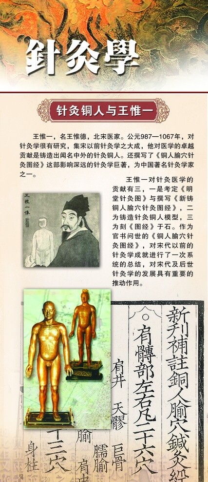 中医文化展板针灸学图片