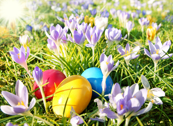花丛里的复活节彩蛋图片