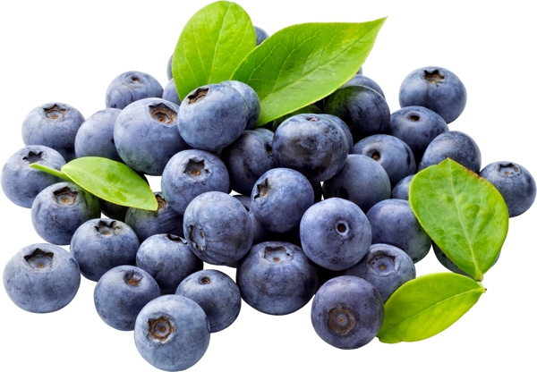 蓝莓高质量免扣图