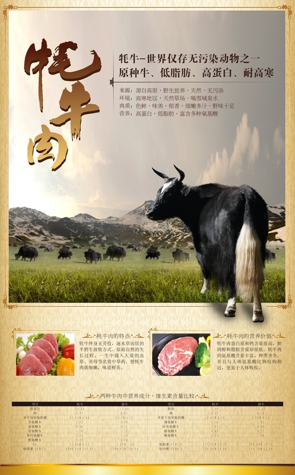 牦牛肉海报图片