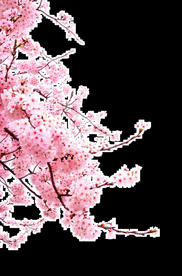 浪漫中国风彩绘粉色花朵元素