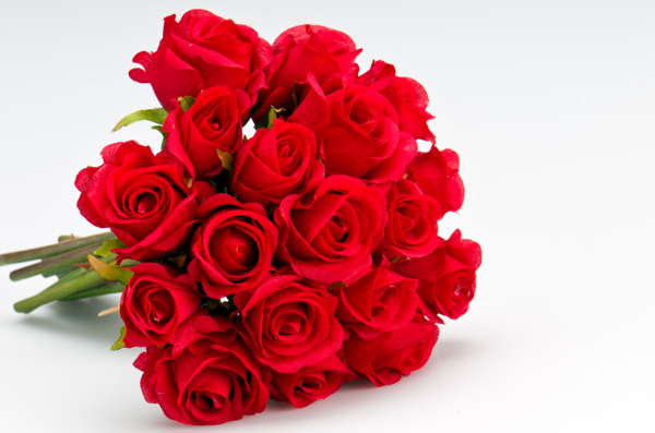 红色玫瑰花花束图片