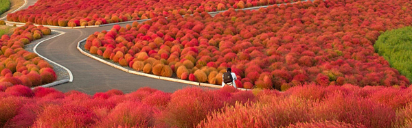 红色道路淘宝海报背景