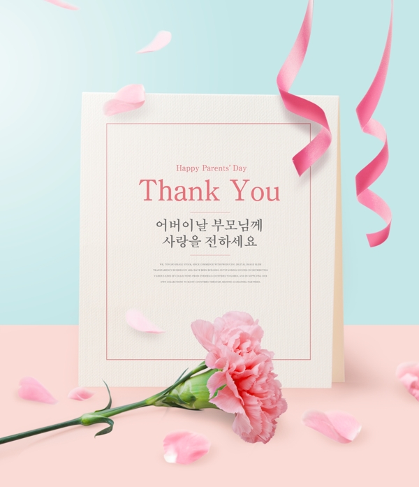 韩系唯美康乃馨花瓣丝带海报设计