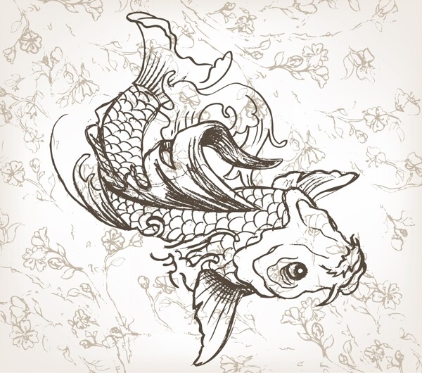 矢量手绘的锦鲤鱼日本插画