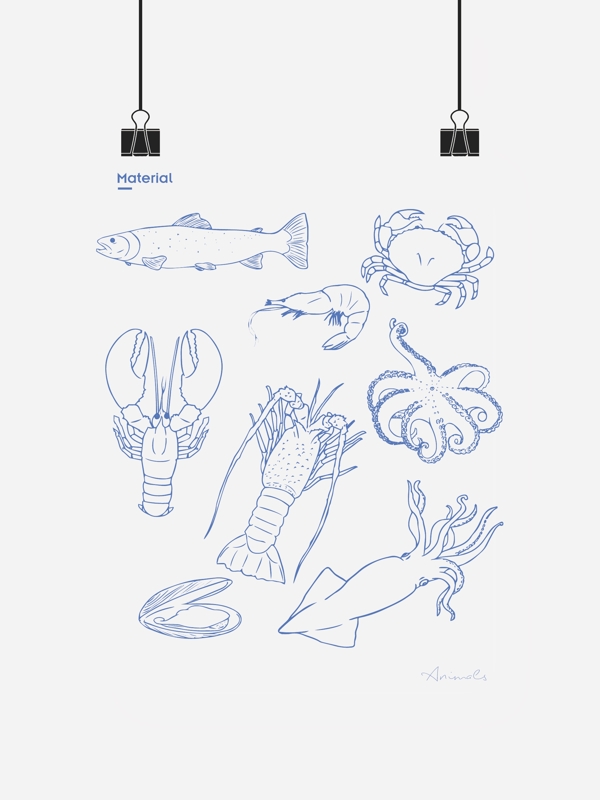 虾螃蟹章鱼贝壳图片