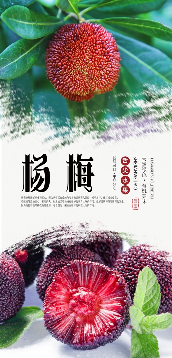 杨梅水果分层海报