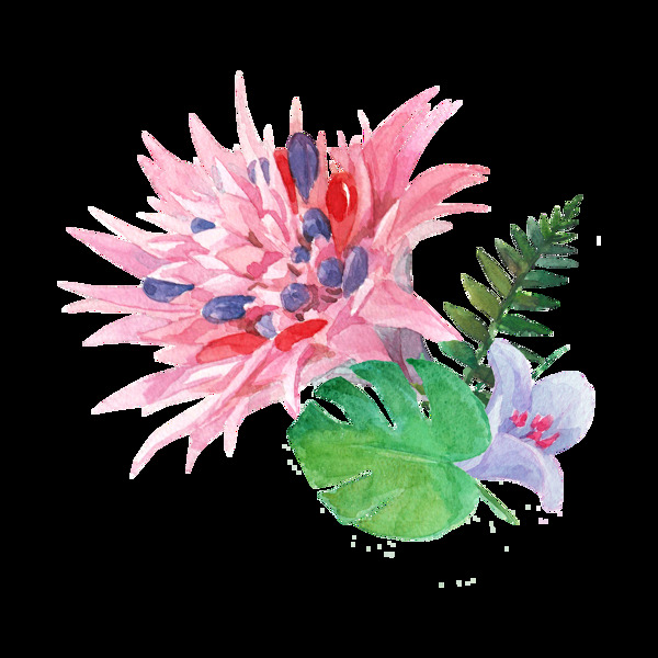 手绘高清粉色花卉PNG透明素材