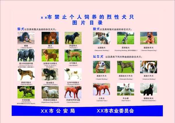 禁止饲养狗类目录模板图片
