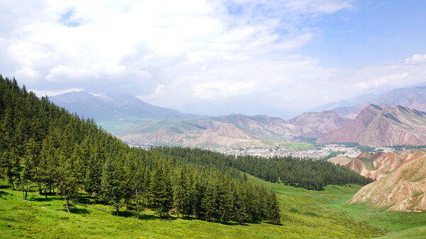 森林和大山