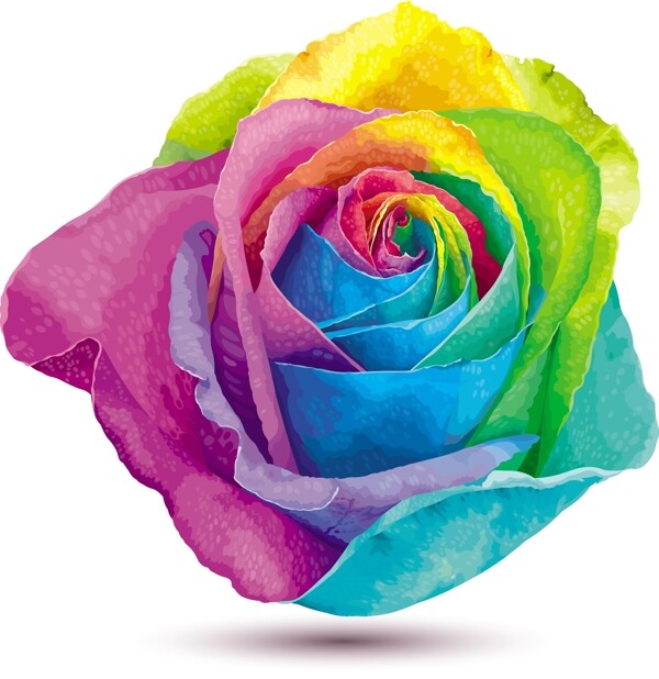 彩虹色玫瑰花矢量素材图片