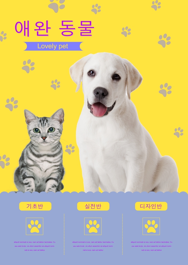 猫和狗的美容和体格检查的黄色海报
