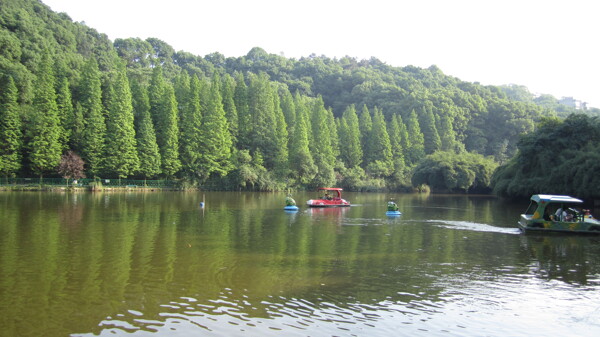 泸州市忠山公园图片