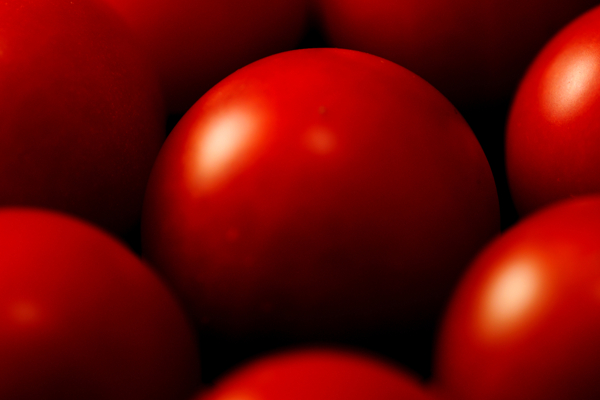 红通通的西红柿图片