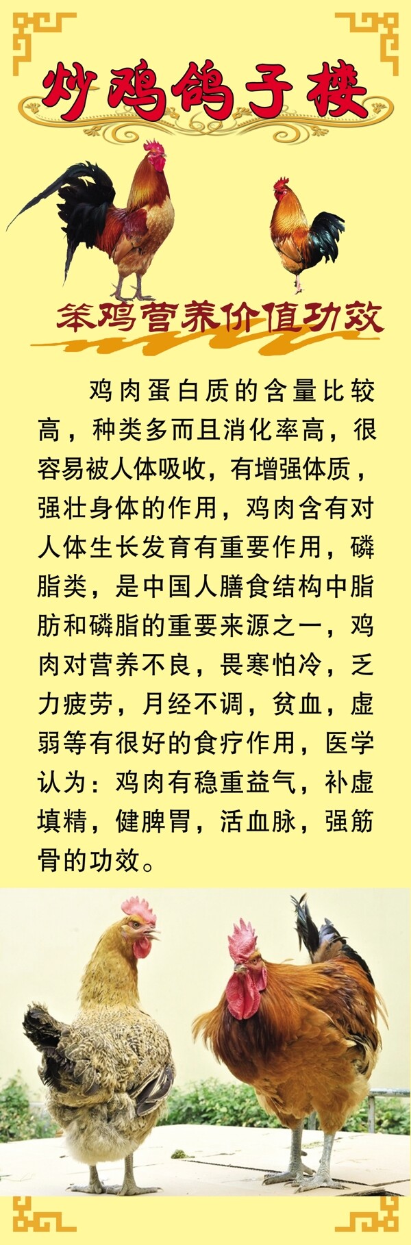 炒鸡鸽子楼图片