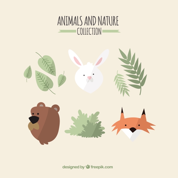 可爱的动物和自然的收藏