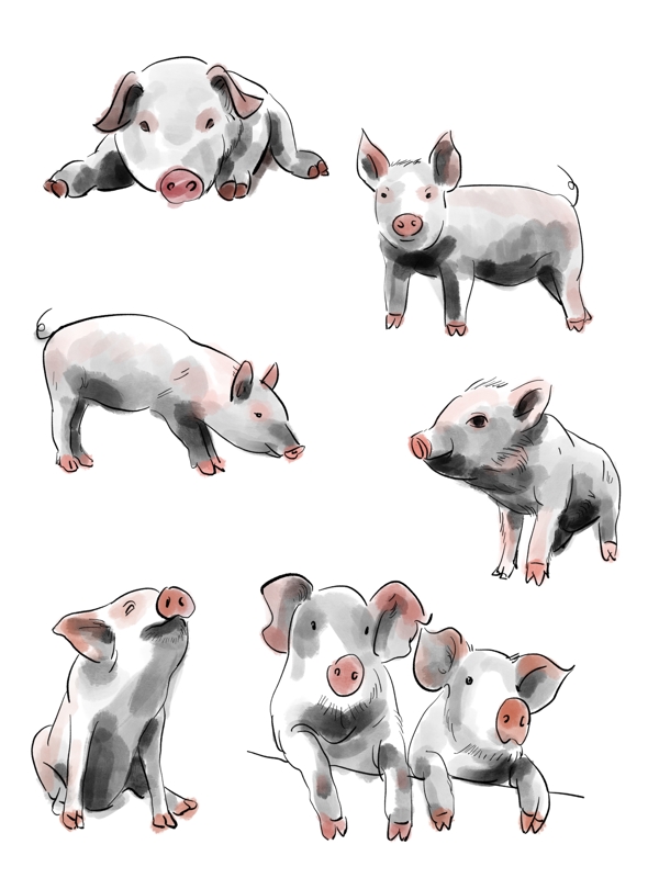 水墨猪卡通手绘动物