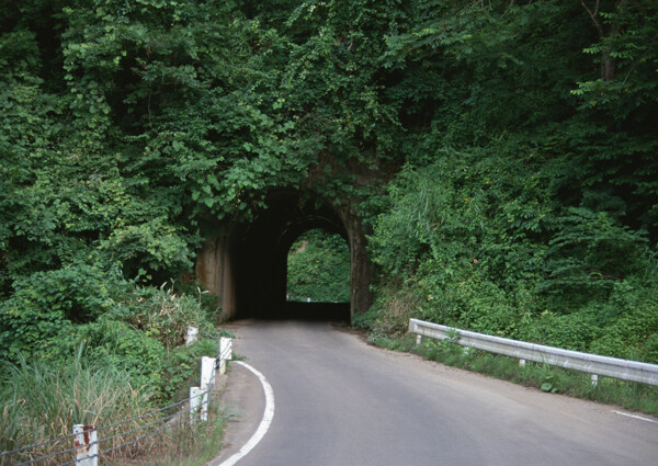 景区公路摄影图片