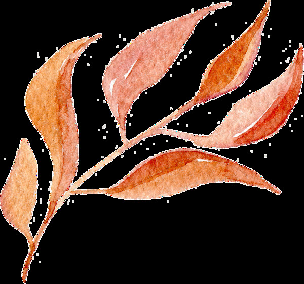 秋天树叶卡通透明素材