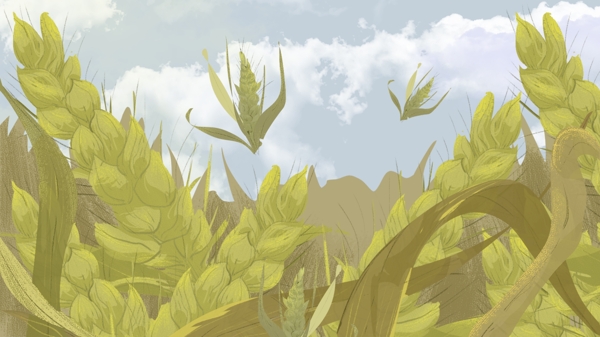 绿色麦田中饱满的麦穗卡通背景
