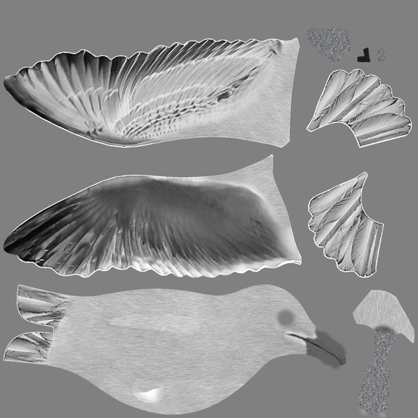鸽子鸽子模型动物图片