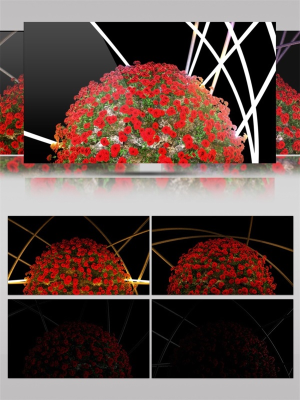 红色激光花蕊动态视频素材