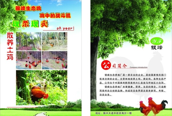 银峰生态养殖场宣传单图片