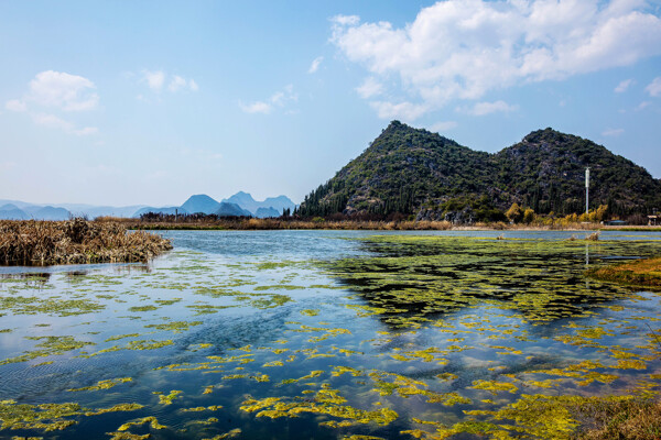 云南普者黑风景