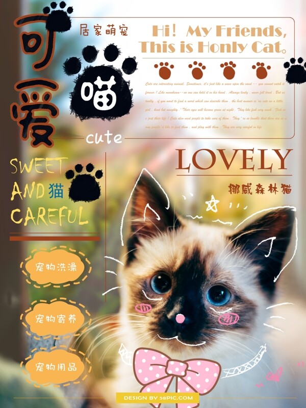 小清新手绘风宠物店宠物猫促销海报
