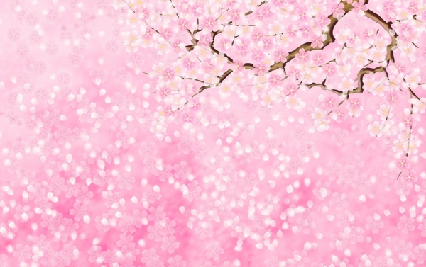 樱花图案图片