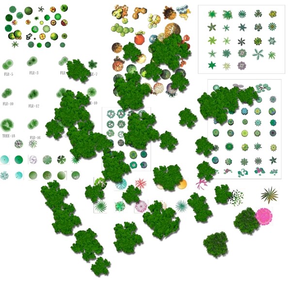 园林植物平面素材彩图图片