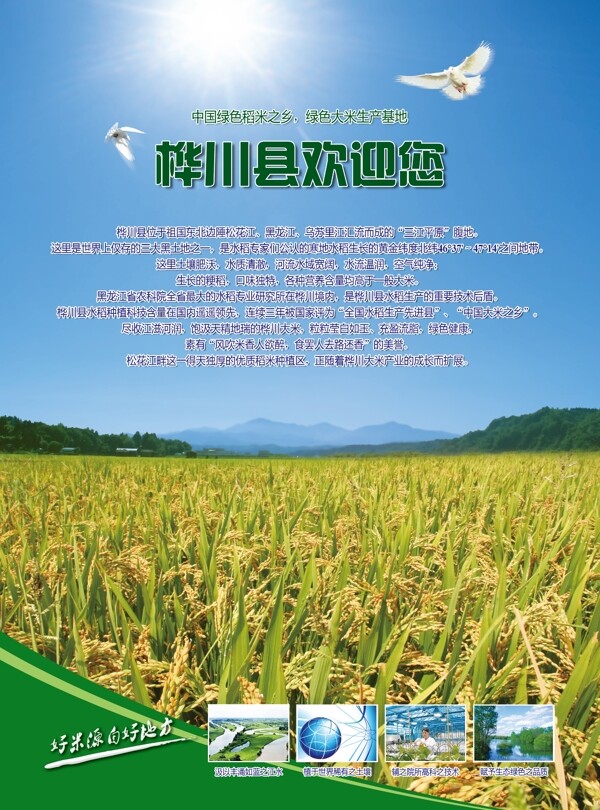 绿色稻米之乡桦川图片