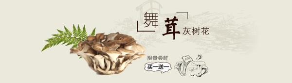菌菇舞茸海报