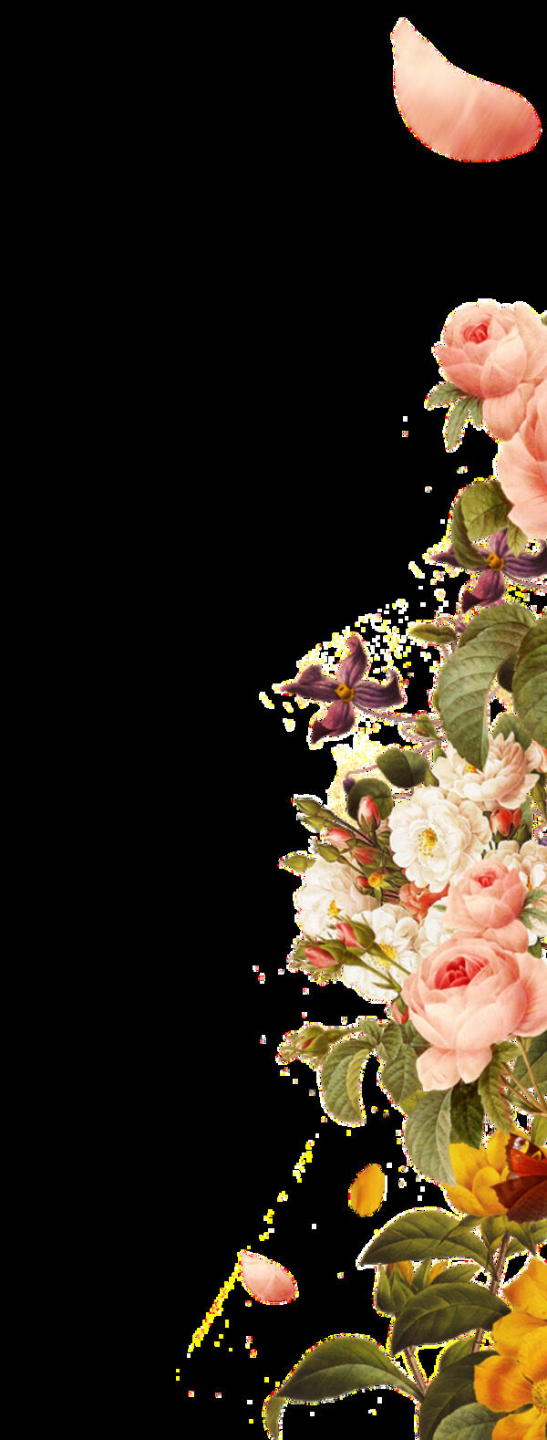 五彩花卉填充图透明装饰素材